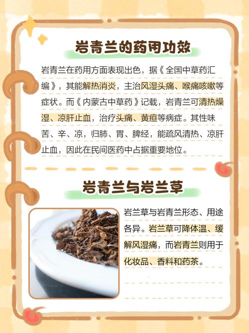 岩青兰